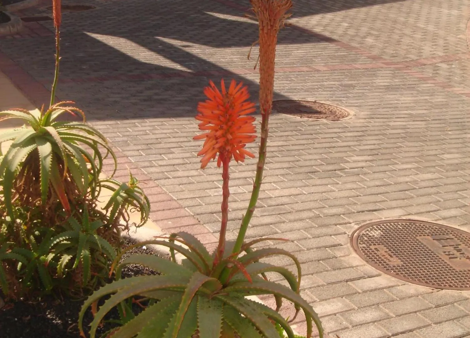Holiday home Villas Salinas De Matagorda